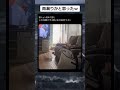雨漏りかと思ったら寝ションだったw