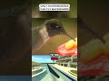 Only Hummingbirds Can Fly Backwards