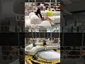 Made in China, Loved Globally – Yacedon’s Premium Furniture Line