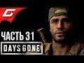 DAYS GONE (Жизнь После) ➤ Прохождение #31 ➤ ПЕРВАЯ ОРДА