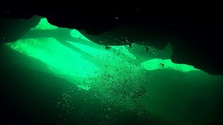 Blue Spring Cavern by Dmitriy 2,808 views 8 years ago 3 minutes, 18 seconds