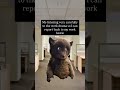 🐻 Professional listener