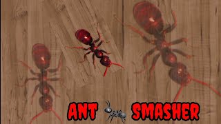 Ant 🐜🐜 Smasher Free Mobile Android Best Game 🎮 Play ▶️ screenshot 5