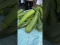 South Anchorage Farmers Market 🥕 Anchorage Alaska