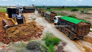 Excitedly New Starting Project Filling Land Gaps with Shantui Dozer & 25Ton Dump Trucks Team Working