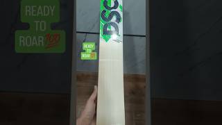 DSC Split 300 | English Willow