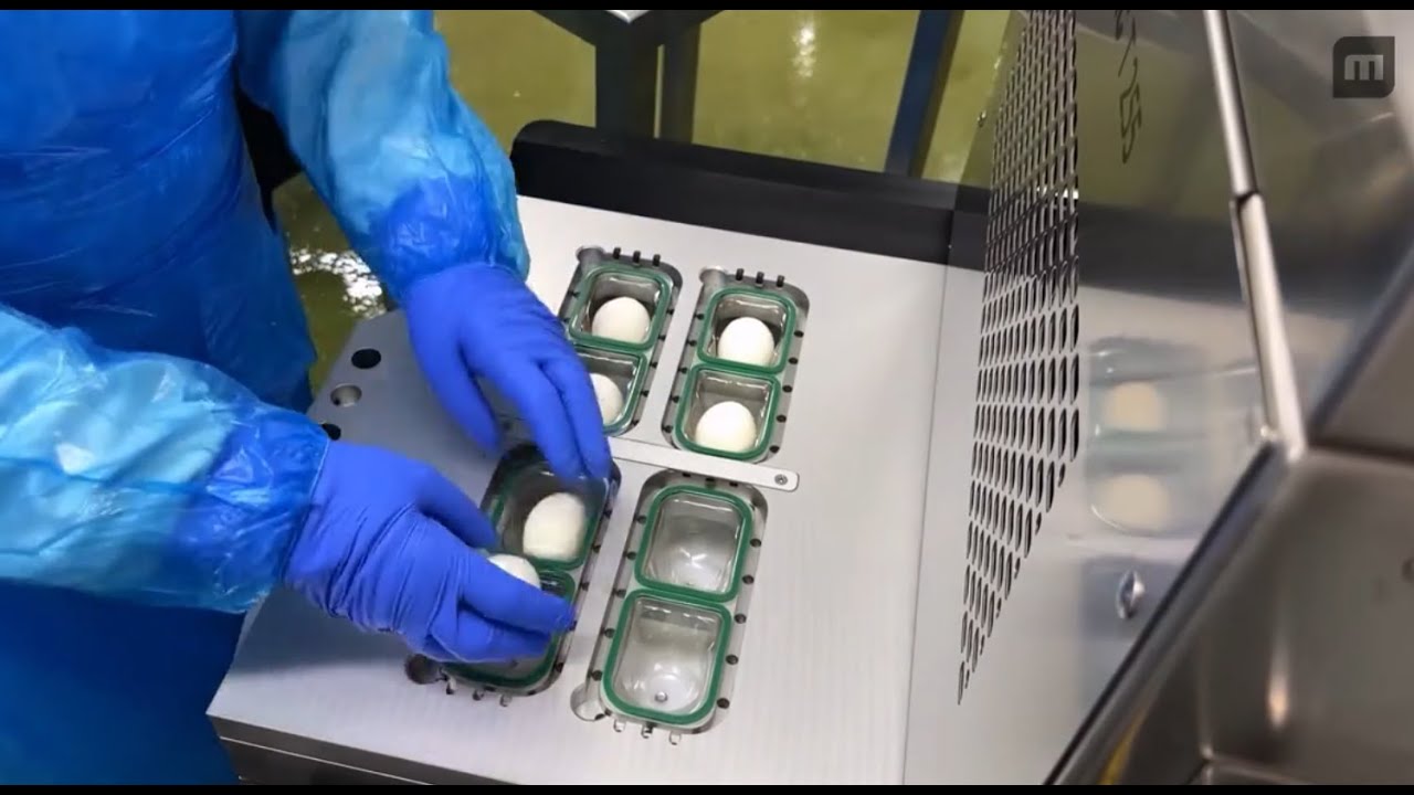 ムルチバック・ジャパン  MULTIVAC   ゆで卵の包装自動化事例  半自動トレーシーラーT255　全自動深絞り包装機　R105