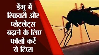 Bihar : Dengue में तेजी से रिकवरी के लिए ले लिक्विड डाइट, प्लेटलेट्स बढ़ाने के लिए फॉलो करें ये Tips Resimi