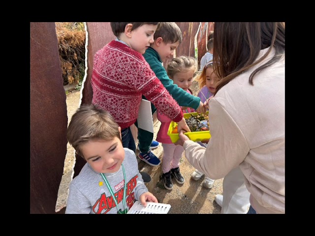 Actividad intercentros 18/02/2025