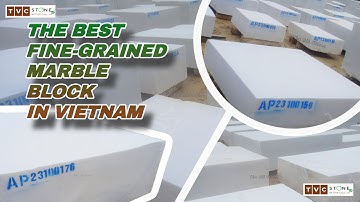 The Best Fine-Grained White Marble in Vietnam || 400 tons in April, 2023