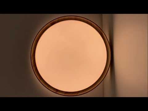 Светильник WOODI 3019/DL 3019/EL