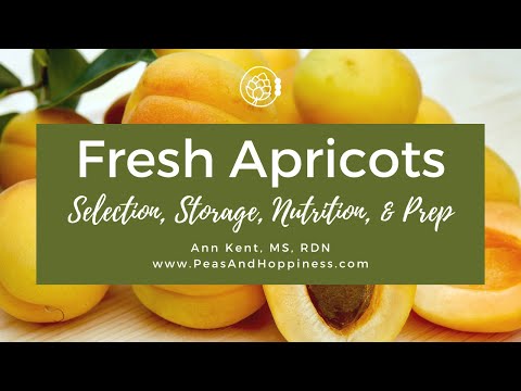 วีดีโอ: Soft Apricot Pits - เรียนรู้เกี่ยวกับ Pit Burn In Apricot