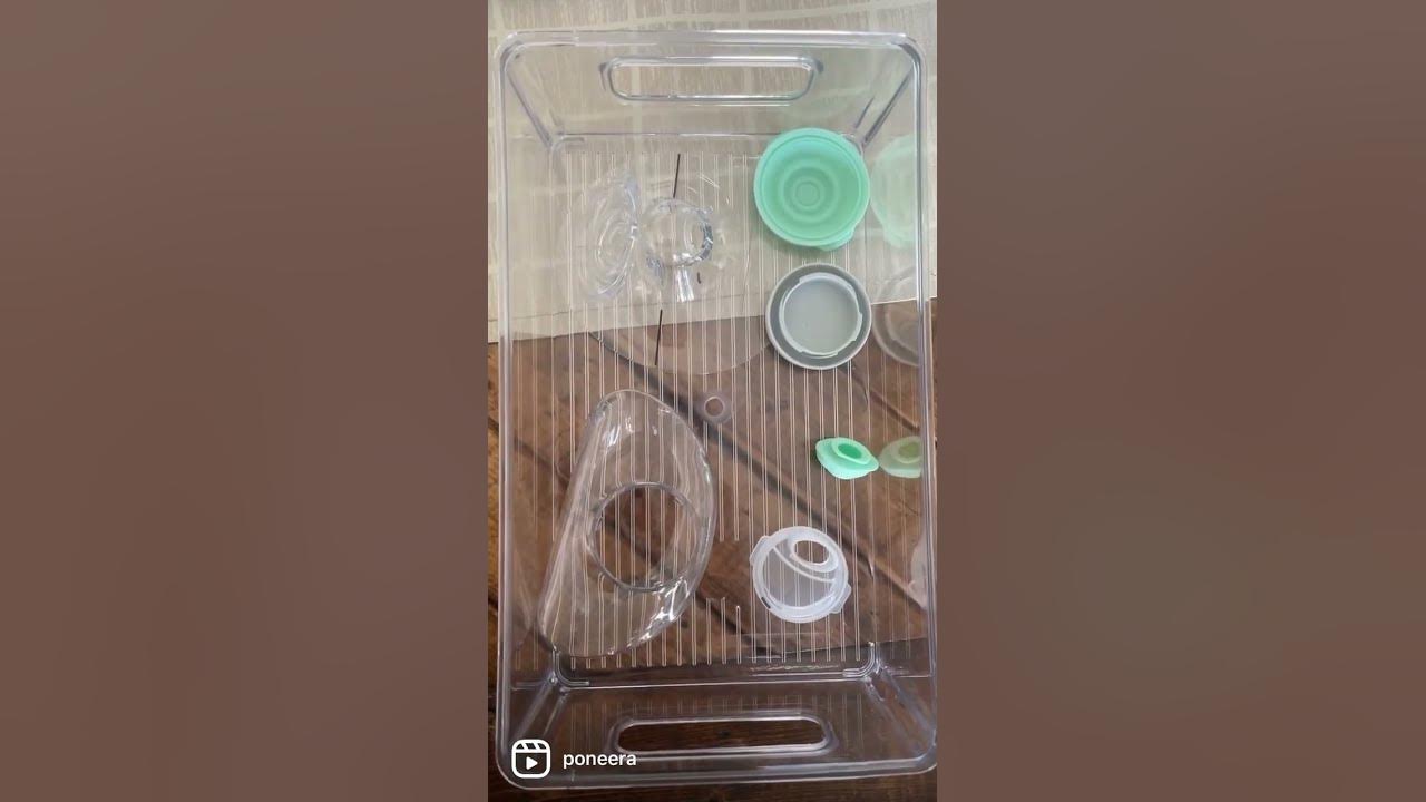How to Clean and Sterilize the Elvie Pump for the First Time YouTube