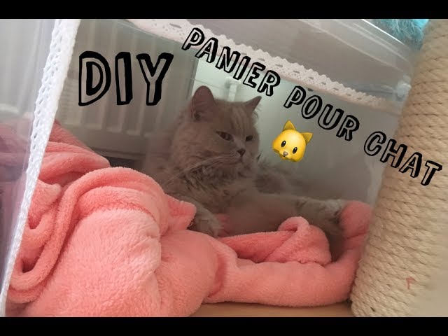 Do It Yourself – Un panier pour chien et chat dans une valise. - Yummypets