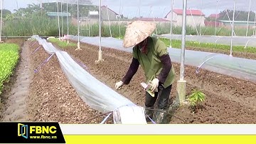 Tăng trưởng GDP ngành nông nghiệp đạt mức cao nhất 7 năm qua | FBNC