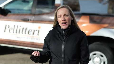 Danielle Pellitteri   Pellitteri Waste Systems   Vice President