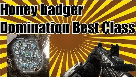 Honey Badger Dom Best Class CoD Ghosts