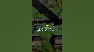 آية الكرسي بصوت القارئ سعود الشريم #القرآن_الكريم #سورة_البقرة #آية_الكرسي #سعود_الشريم #تلاوة_خاشعة
