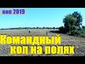 КОП 2019 Командный коп на полях Поиск монет