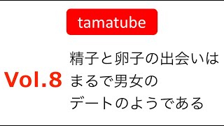 #8 tamatube：精子と卵子の出会いはまるで男女のデート！？