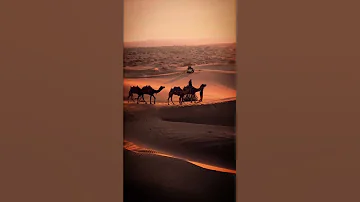 Beautiful Arabian music - Arabian Night, Middle Eastern Instrumental Music