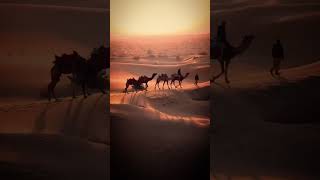 Beautiful Arabian music - Arabian Night, Middle Eastern Instrumental Music screenshot 2
