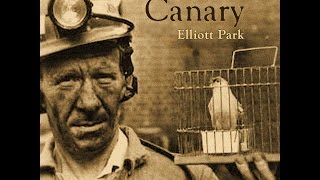 Video thumbnail of "Canary"