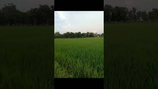DAY 02mini vloack #video #wral #short video #tranding