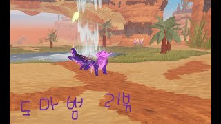 (크오소)조크지스 리뷰