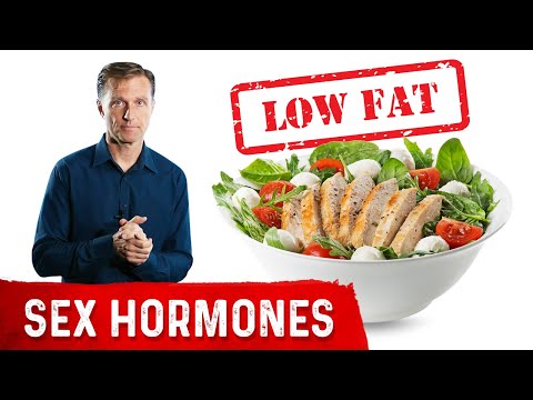 Low Fat Diets And Sex Hormones 