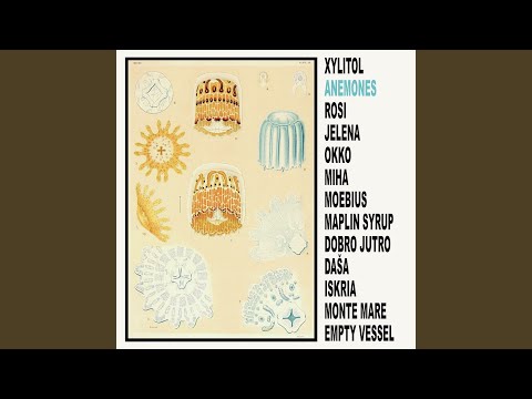 Xylitol — Jelena