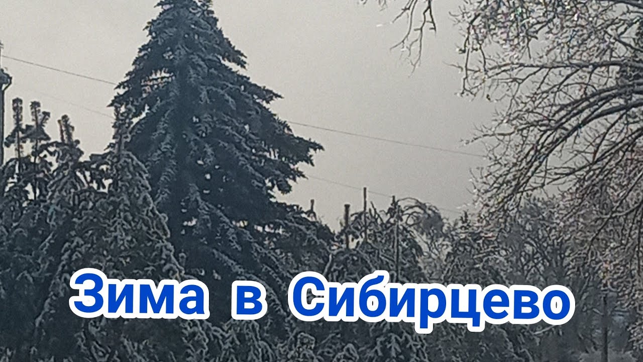 Погода рп5 приморский край черниговская. Поселок Сибирцево. Пгт Сибирцево Приморский край. Аптека Сибирцево. Сибирцево Приморский край время.