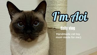 【シャム猫】毛玉ボールの作り方🏀🐈 by シャム猫あおい 524 views 2 months ago 4 minutes, 41 seconds