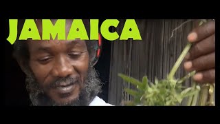 Jamaican people. Rasta's, Artists, Workers and more