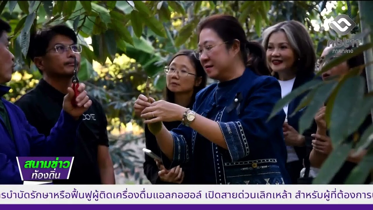 690310 VCR15 นนทบุรี  จัดกิจกรรม “คัดผลคุณภาพ ยกระดับคุณค่าทุเรียนนนท์ ปี 2569”