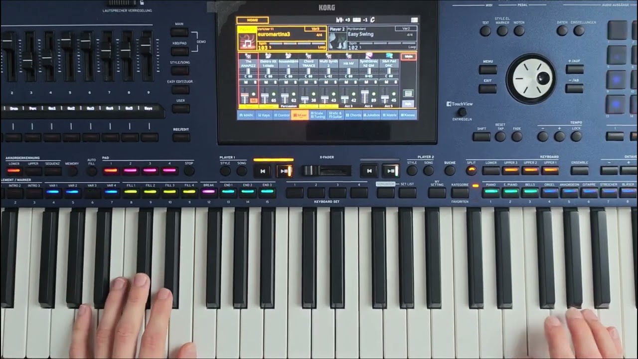 Let's go through this together - Slow Euro Disco Style (Danekoo1 & Korgstyle) 2026