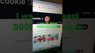 I was Mr Beast 500M subscriber