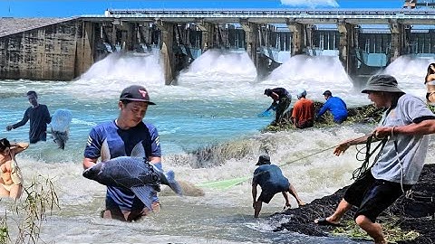 Các Anh Chài Cá May Mắn - Đập Thủy điện Trị An Đang Xả Gần Hết Công Xuất 