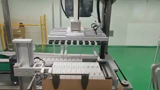 All-in-one Case Packer for Cartons