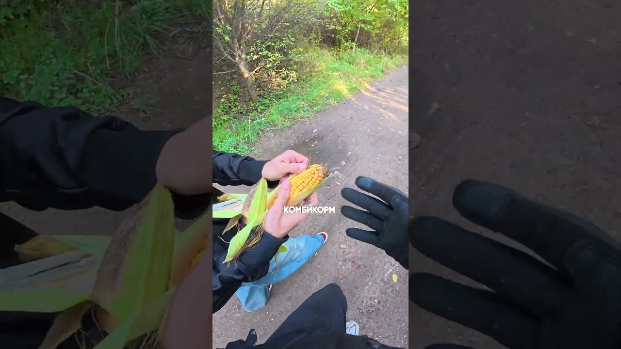 Самый странный адрес доставки