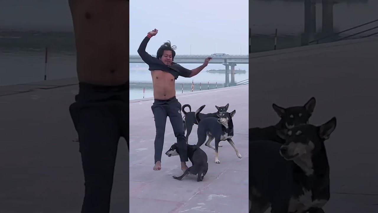 Dog🐶friendship speaks louder than words  