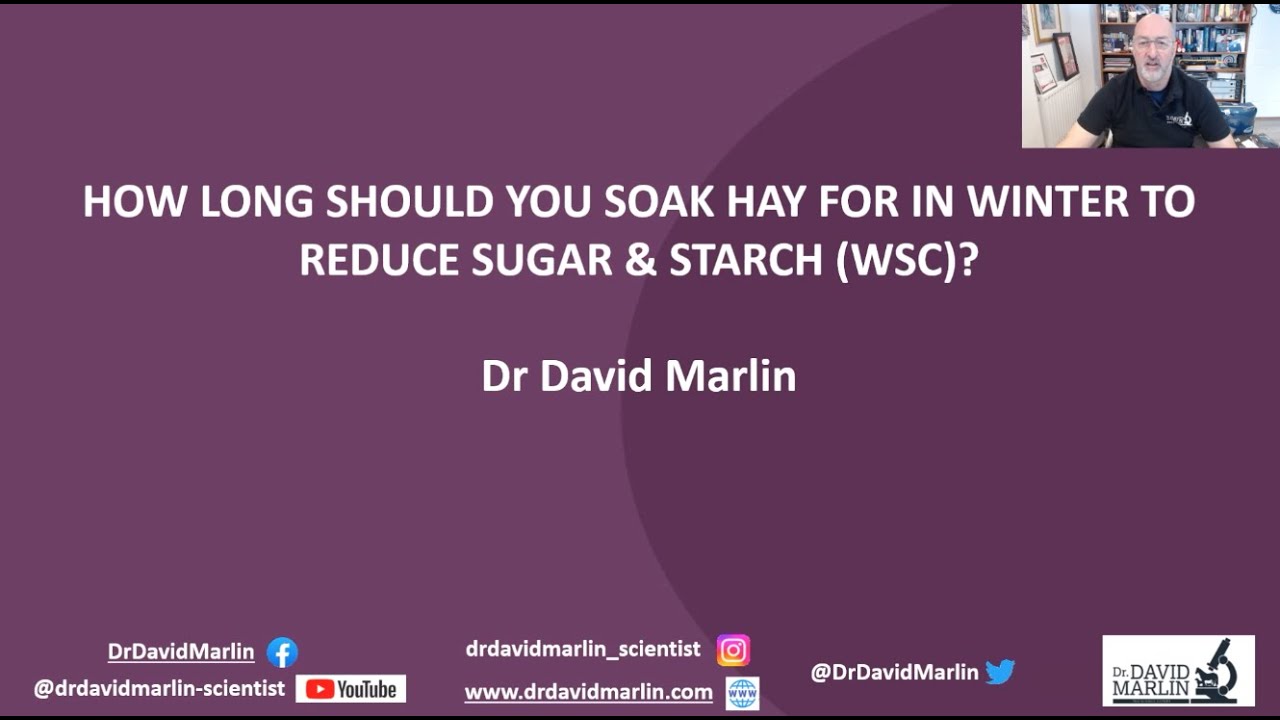 How Long Should You Soak Hay For In Winter? YouTube