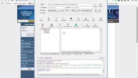 دورة اختراق المواقع بثغرة ▒╢SQL INJECTION╢ ▒  الحلقة (2) عن طريق برنامج ال Havij