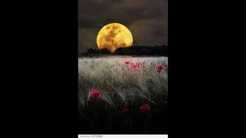 تلاوة وتدبر سورة الطور للشيخة /حنان العراقي حفظها الله