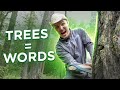 Russian Vocabulary is like a forest...let me explain