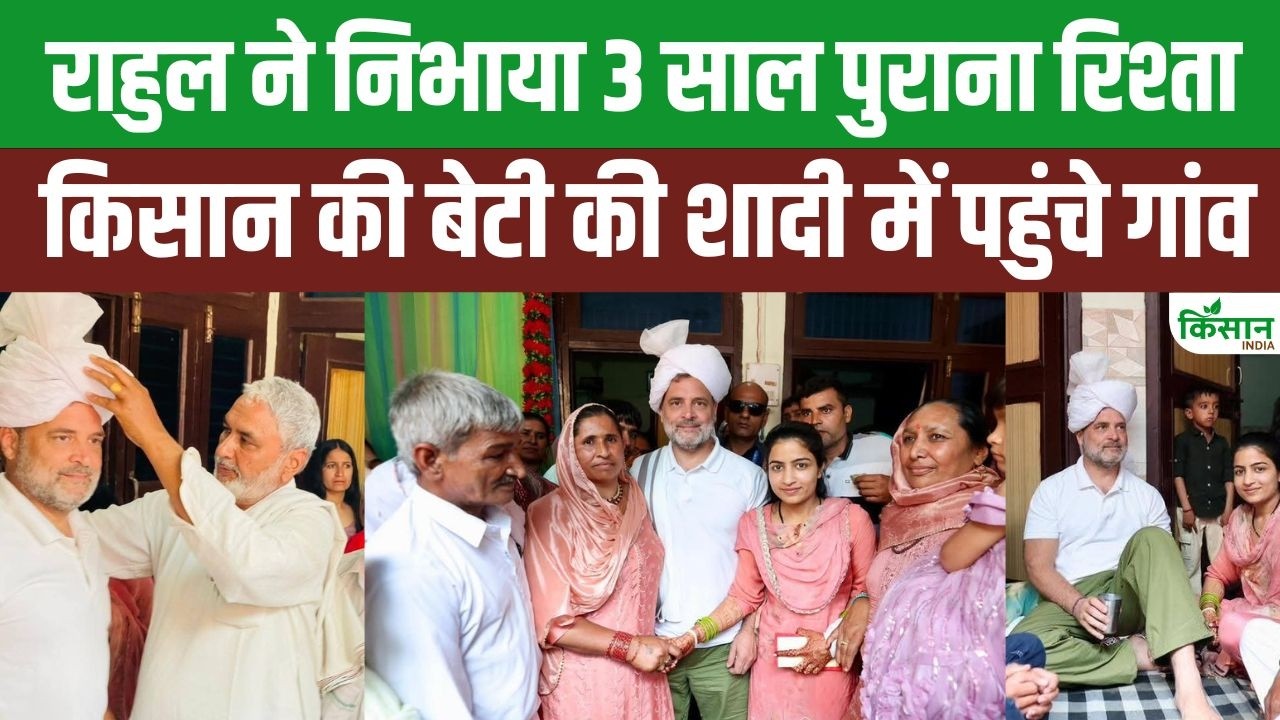 किसान की बेटी की शादी में Haryana पहुंचे Rahul Gandhi, किसान परिवार के बीच बैठकर खाया दूध-चूरमा!