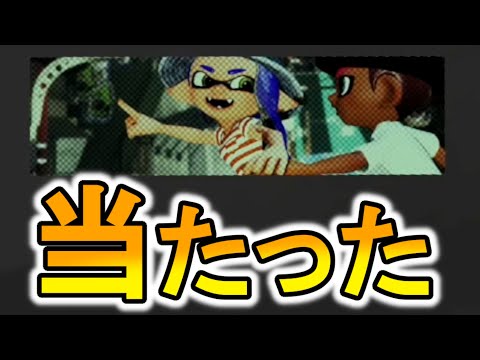 ドラクエ　3 ペルソナ5 ポケモン　スプラトゥーン3 ゼルダ　バラ売り不可 ドラクエ 3 ペルソナ5 ポケモン スプラトゥーン3 ゼルダ バラ