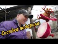 Посадила ведро лука, Целый день в огороде...Соседи помогли)