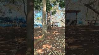 ISSO SIM QUE É PAZ . #viral #pesca #paz #video #fyp SE GOSTOU JÁ DEIXA SEU LIKE E SIGAM O CANAL.