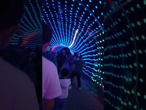 short#video/cool/lights/(at Busch garden#